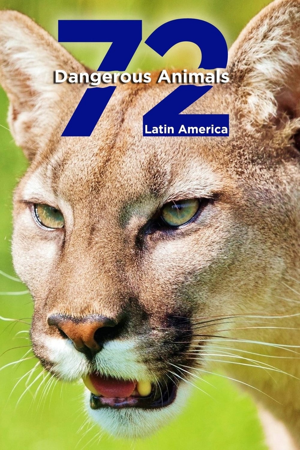 72种危险动物：拉丁美洲